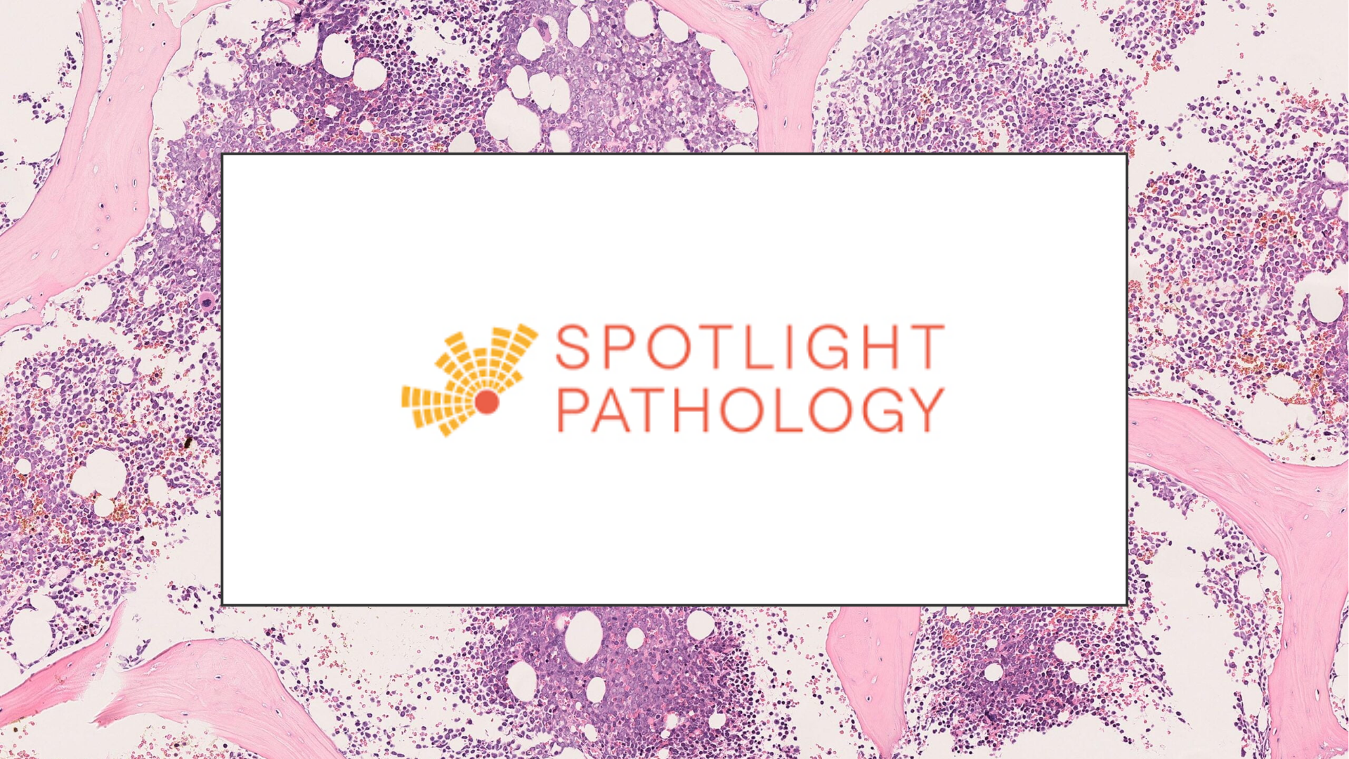 Spotlight Pathology 