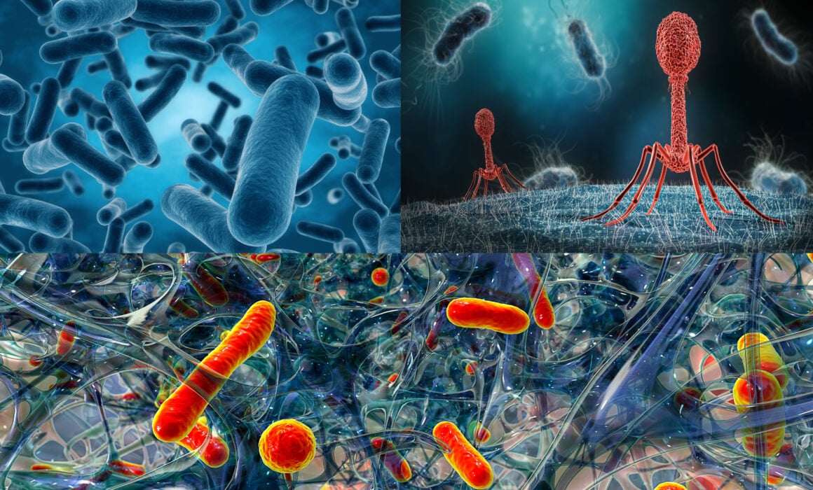 Microbial Accelerator